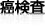 癌検査