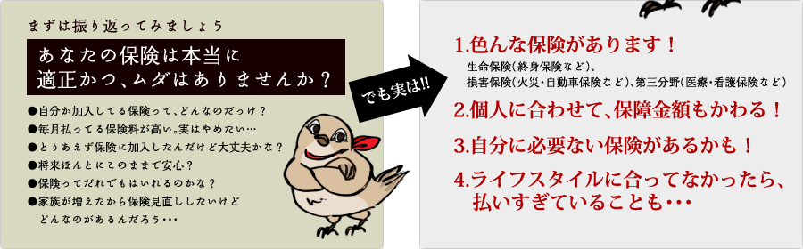 保険 見直し